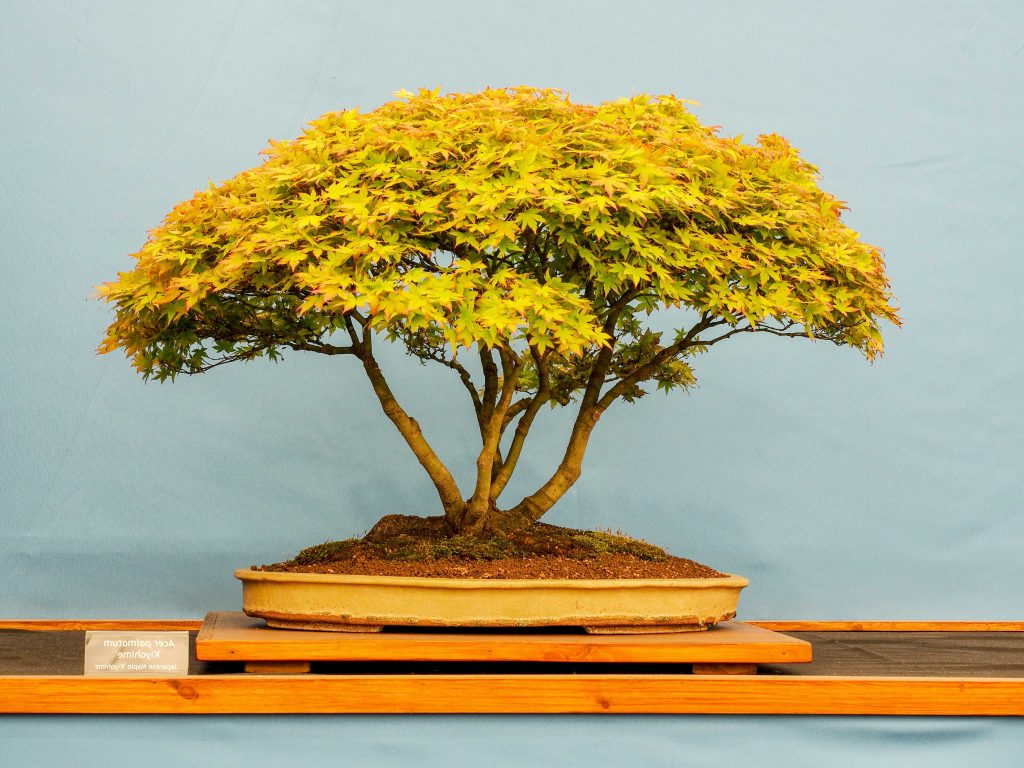 REGALO-ECOSOSTENIBILE