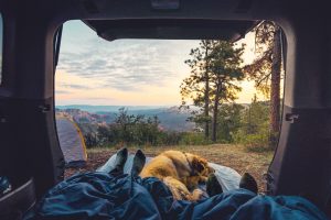 regali-per-vegetariani